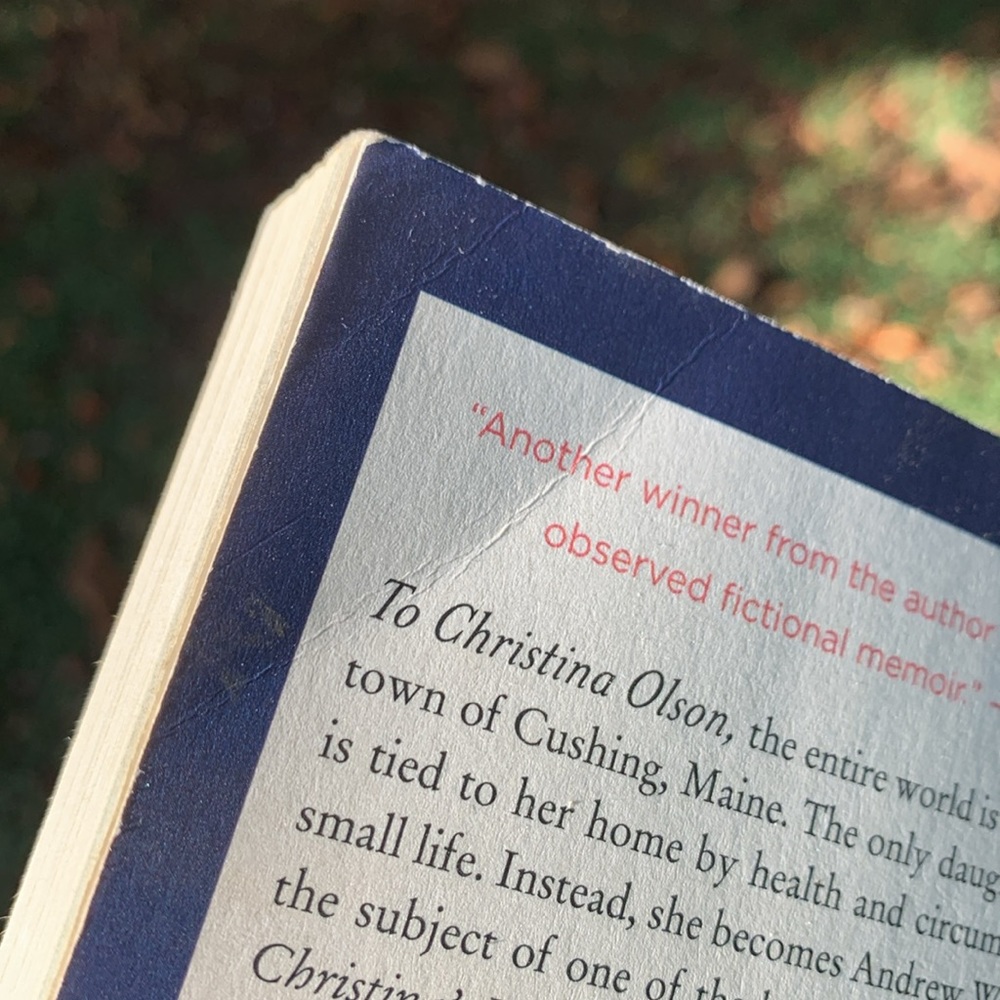 A Piece Of The World Book - Picture 4 of 4